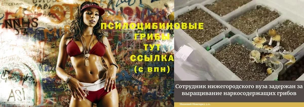 MESCALINE Белокуриха